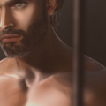 Fae Quinn13.png