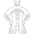 Commission-06-Hard_Partially_Retracted.jpg