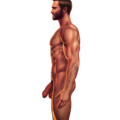 Commission09-profile_soft.png
