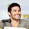 appearances2013-comic_con_thursday73.png