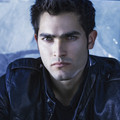 photoshoots2011-william_cole1001.jpg