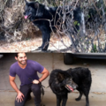 movies-teen_wolf-s03-behind_the_scenes-1021.png